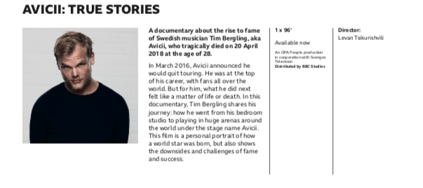 Avicii True Stories Synopsis