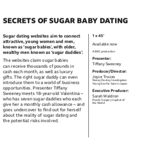 Secrets of Sugar Baby Dating Synopsis